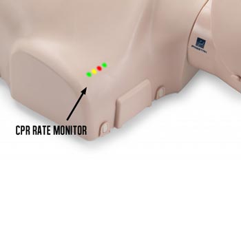 Close-up of a Prestan Professional Adult Training Manikin With Jaw Thrust Head by Prestan, featuring colorful lights labeled "CPR Rate Monitor" that provide feedback on compression rate. An audible compression clicker ensures consistent performance during training.