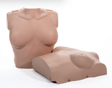 PRESTAN Professional Adult Female Manikin with CPR Feedback, Single